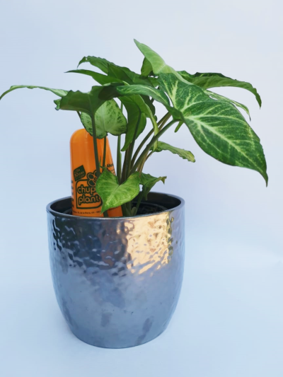 Agua Gel Riego (ChupiPlant)