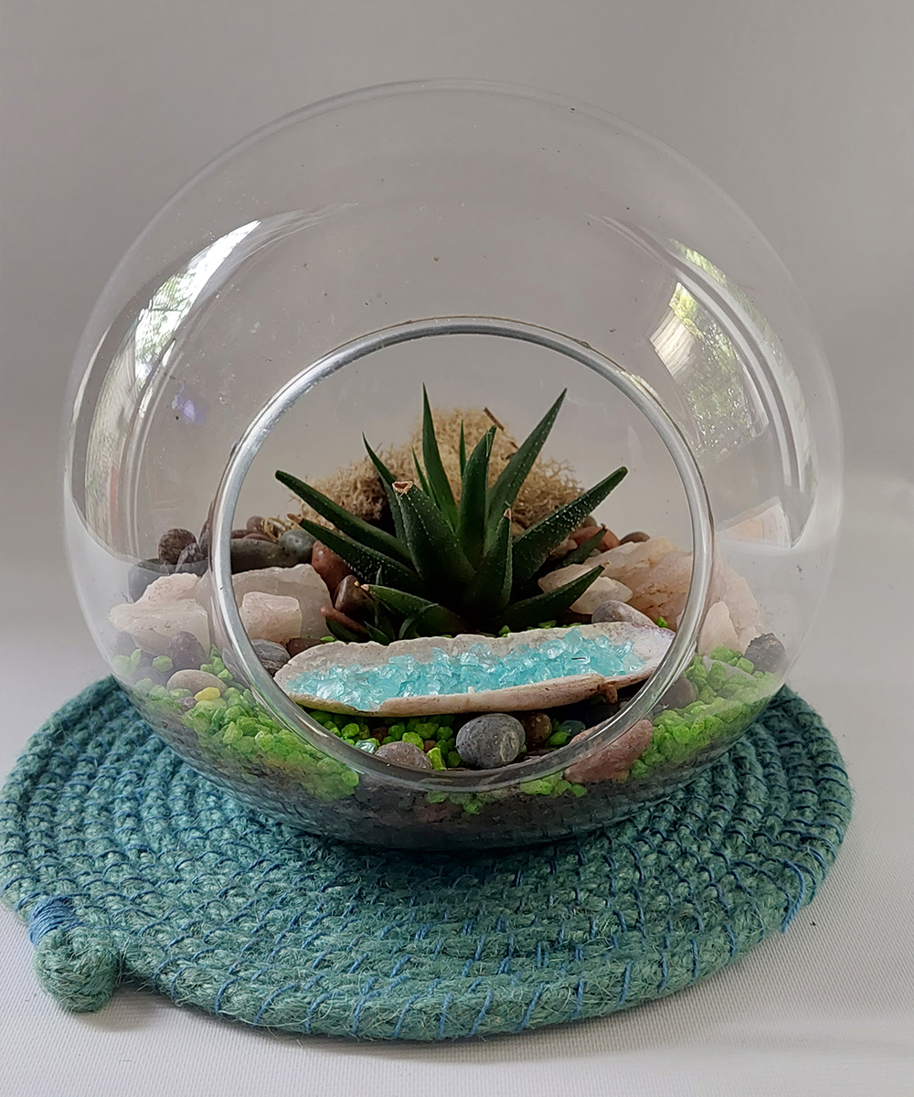 Ecoesfera Terrario 18 Sin Asa