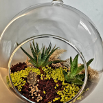 Ecoesfera Terrario 20 Con Asa