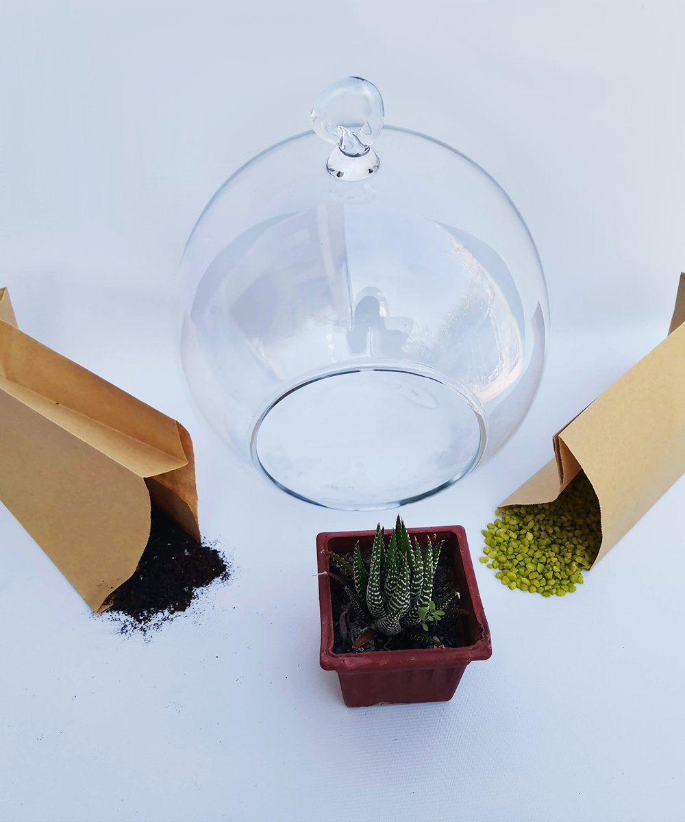 Kit Catui DIY 20 Con Asa